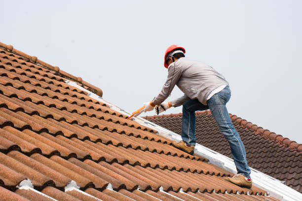 Professional Roofing service in Wayne, OH